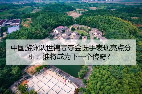 中国游泳队世锦赛夺金选手表现亮点分析，谁将成为下一个传奇？